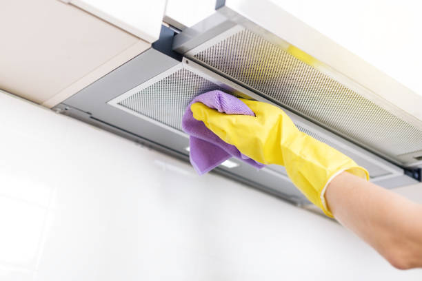 Home Air Vent Cleaning in Greenbriar, FL